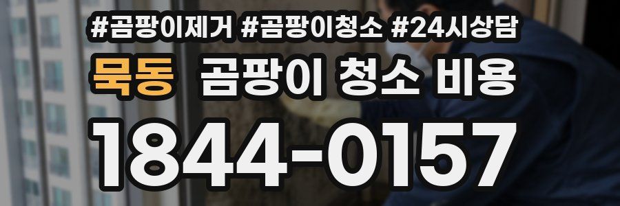묵동 곰팡이 청소 비용