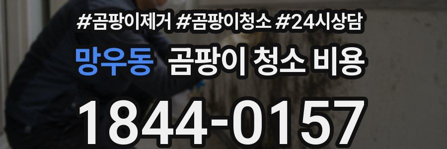 망우동 곰팡이 청소 비용
