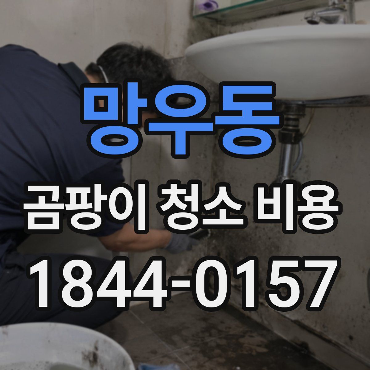 망우동 곰팡이 청소 비용