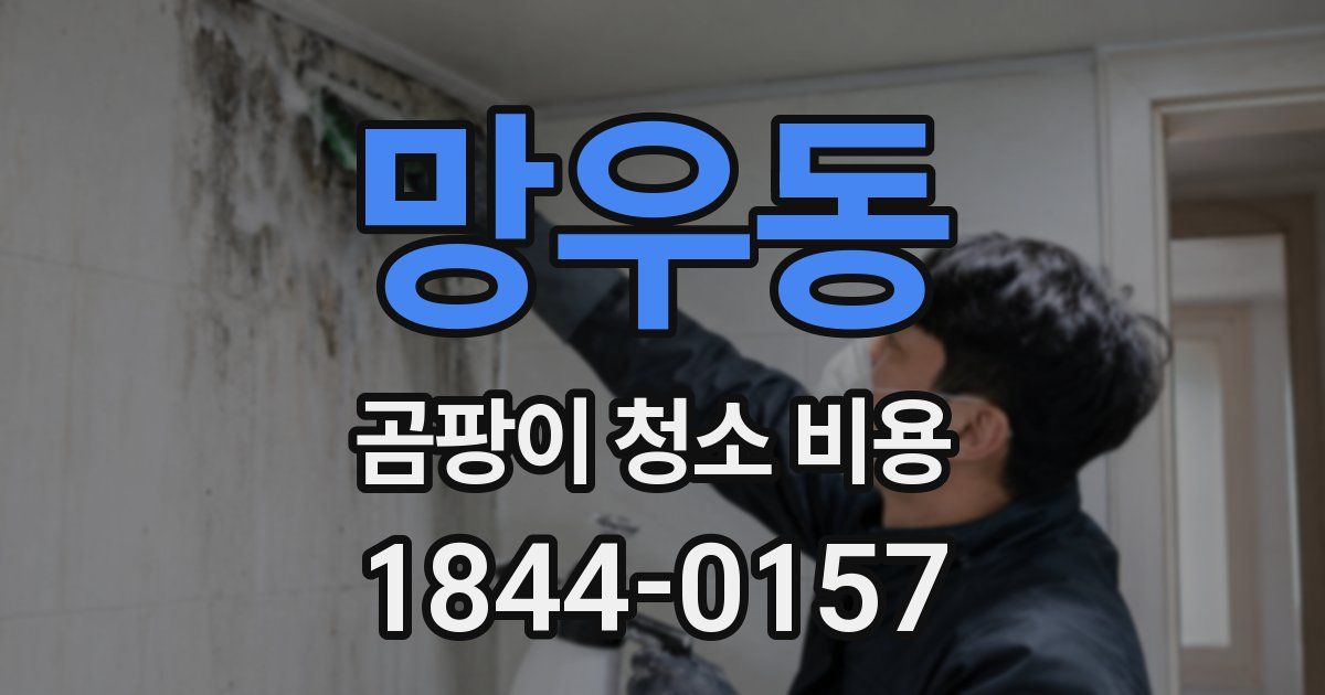 망우동 곰팡이 청소 비용