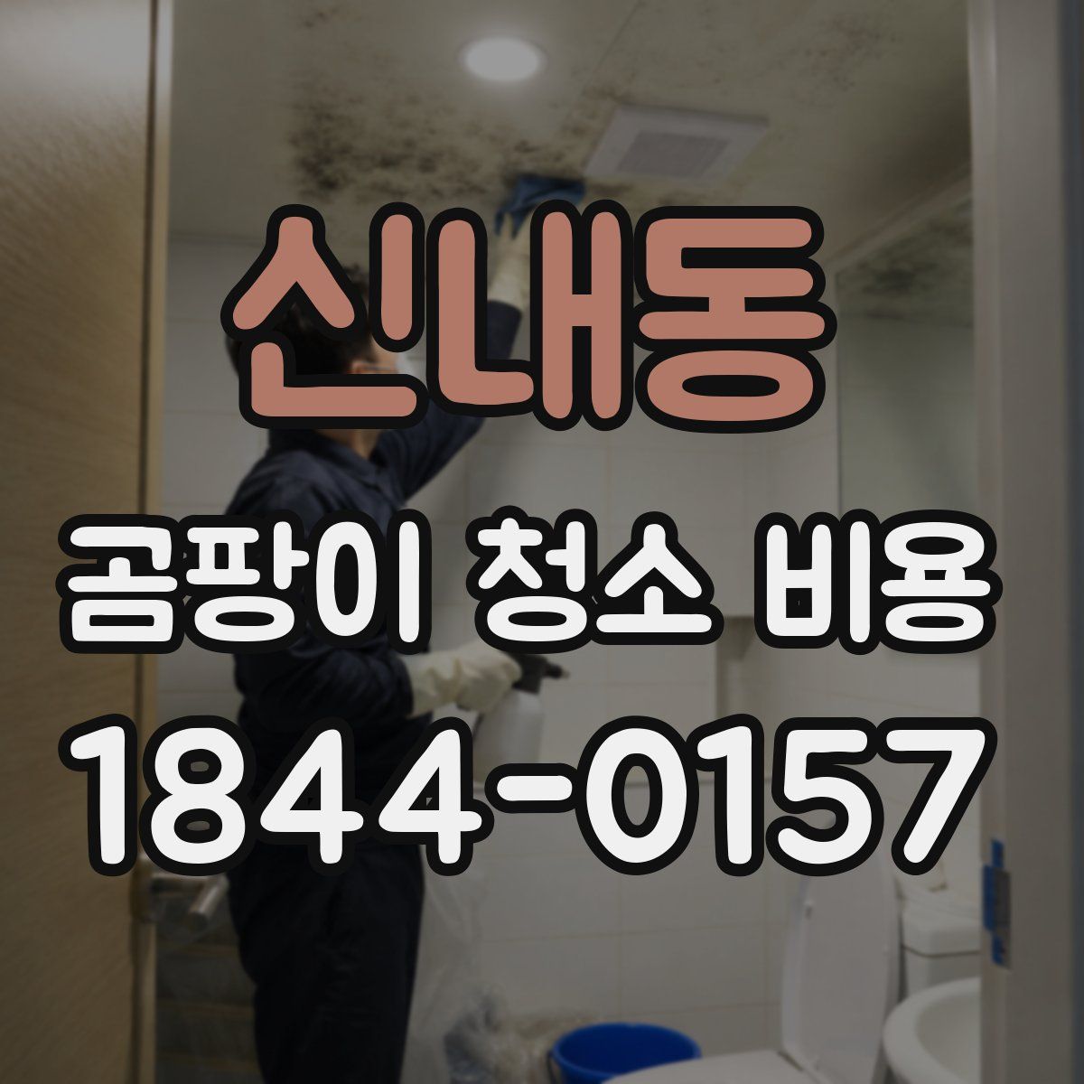 신내동 곰팡이 청소 비용