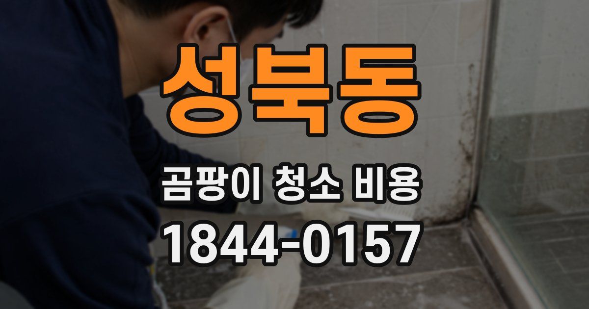 성북동 곰팡이 청소 비용