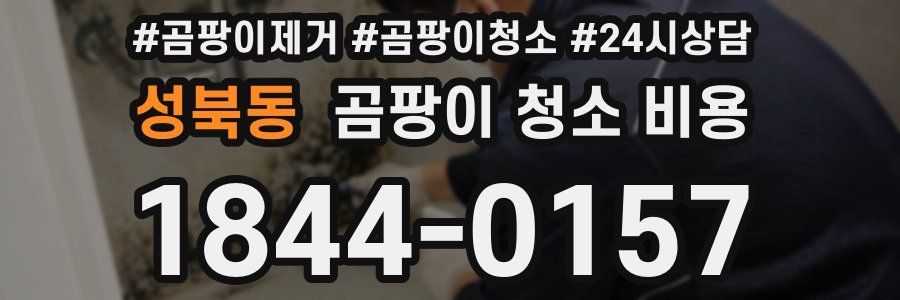 성북동 곰팡이 청소 비용