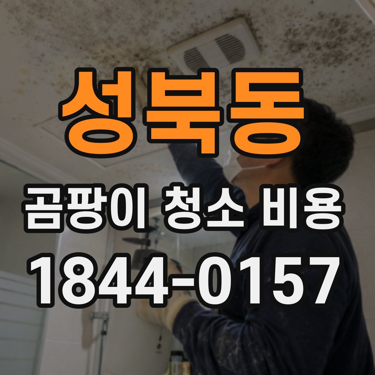 성북동 곰팡이 청소 비용