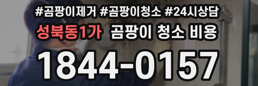 성북동1가 곰팡이 청소 비용
