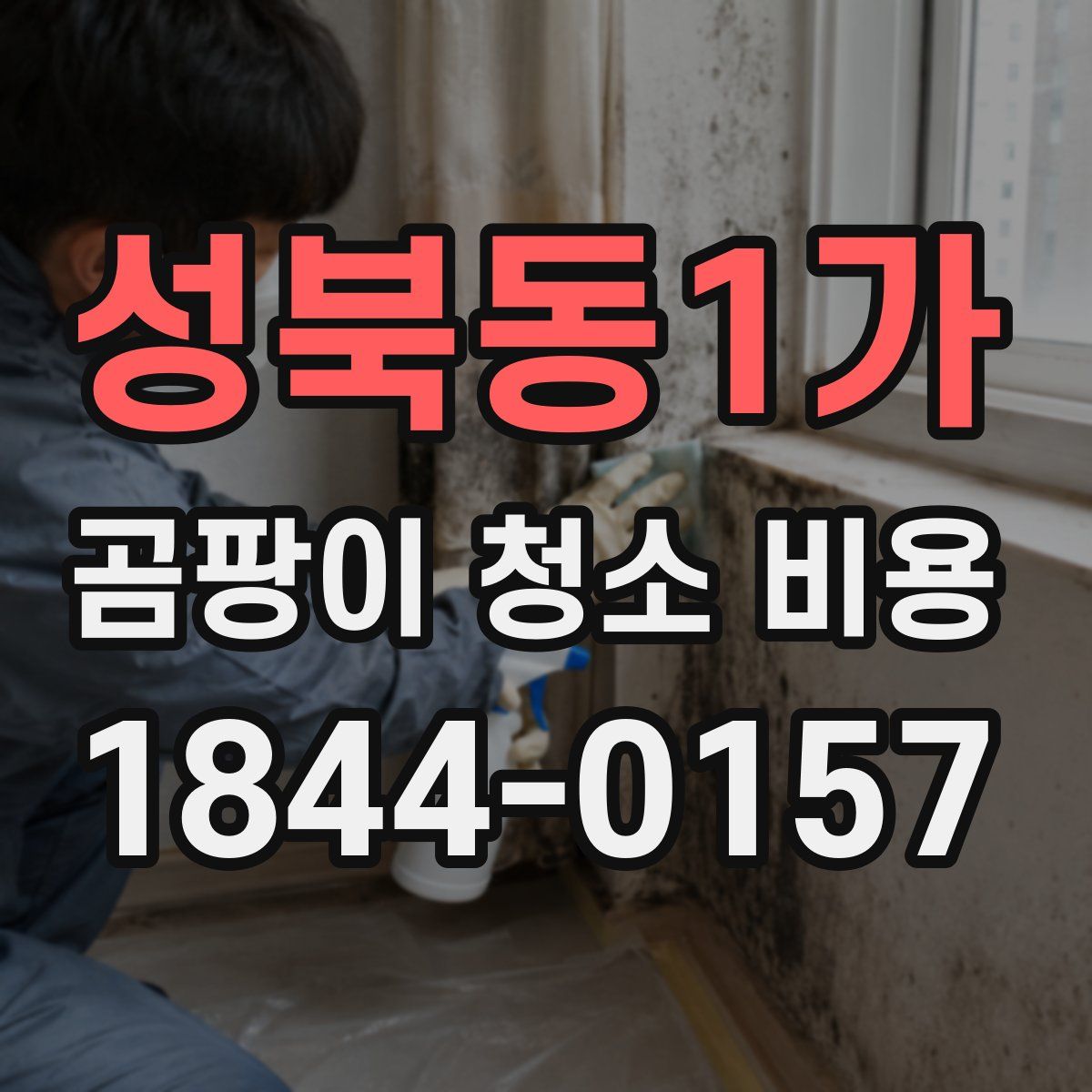 성북동1가 곰팡이 청소 비용