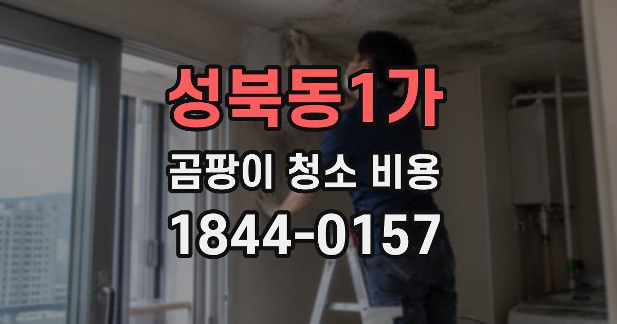 성북동1가 곰팡이 청소 비용