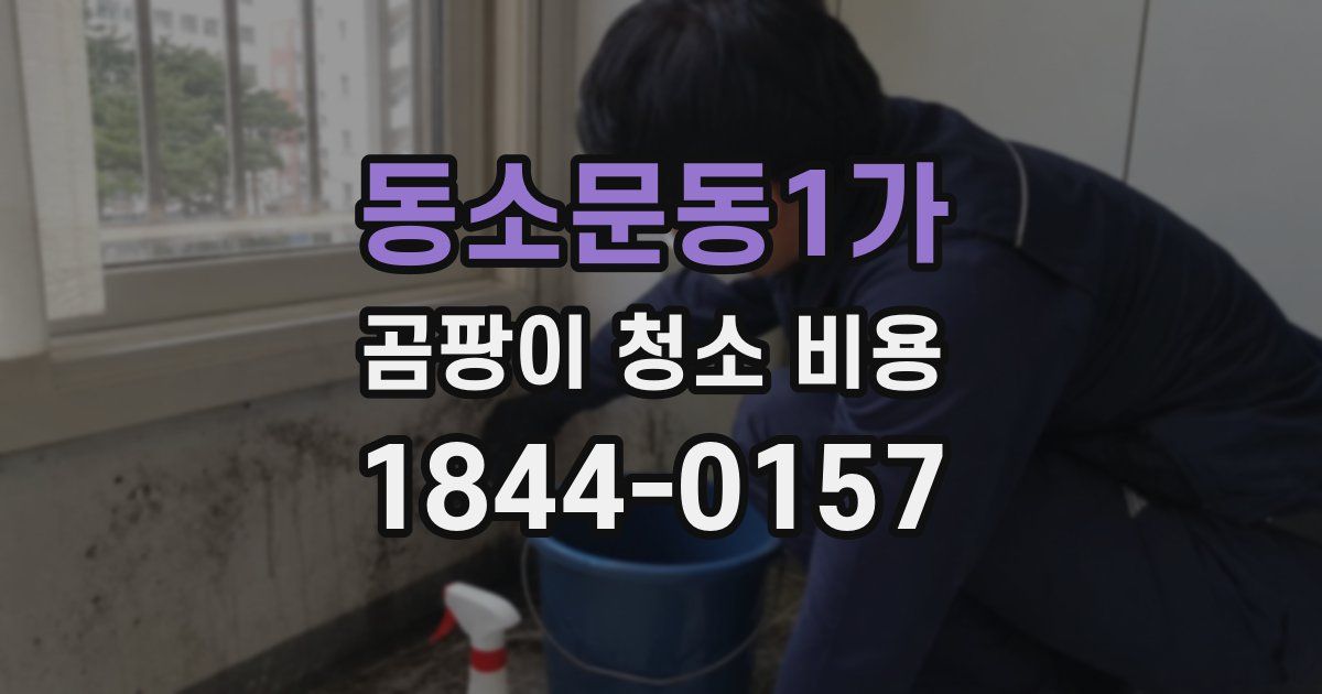 동소문동1가 곰팡이 청소 비용