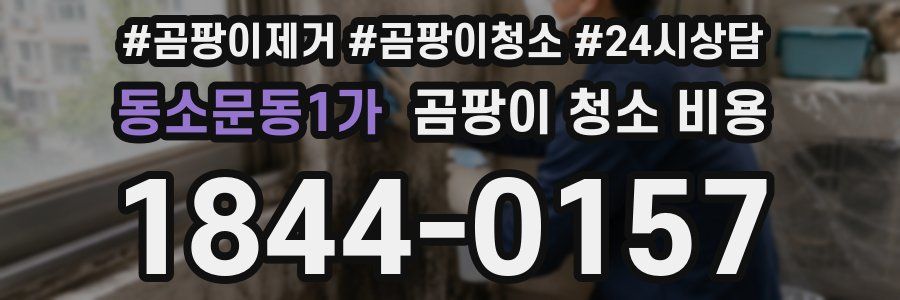 동소문동1가 곰팡이 청소 비용