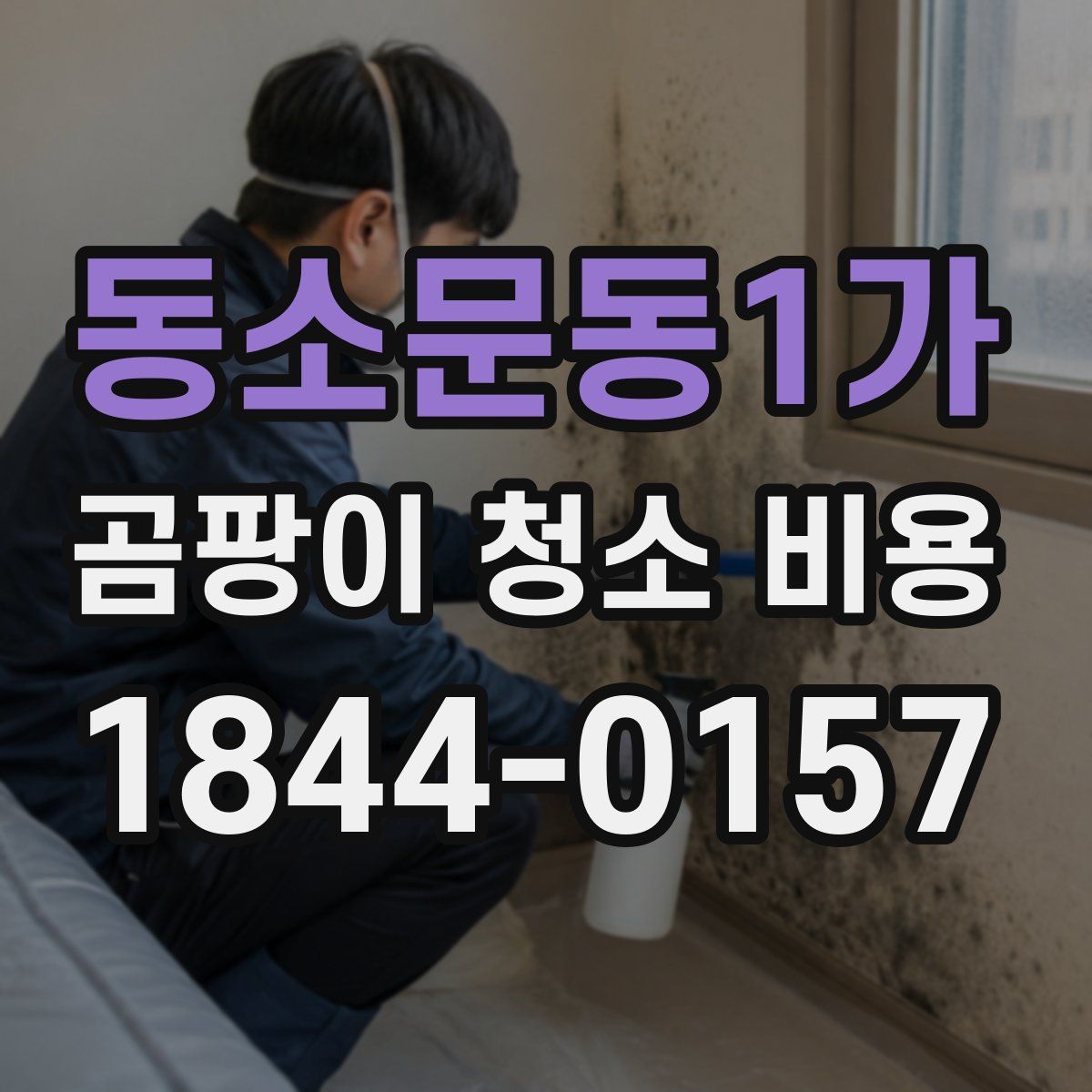 동소문동1가 곰팡이 청소 비용
