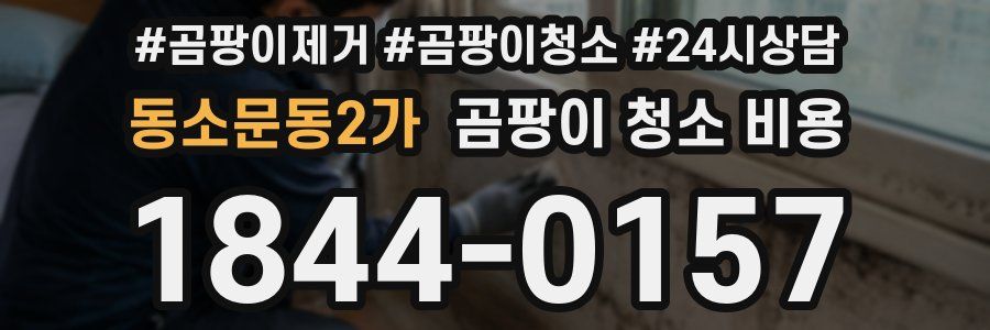 동소문동2가 곰팡이 청소 비용