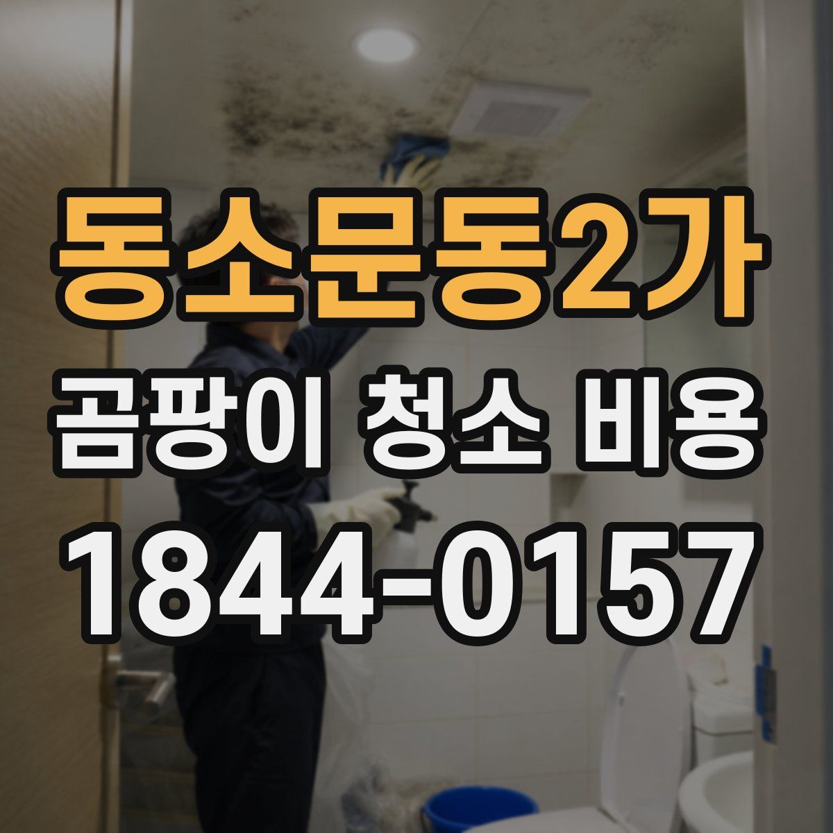 동소문동2가 곰팡이 청소 비용