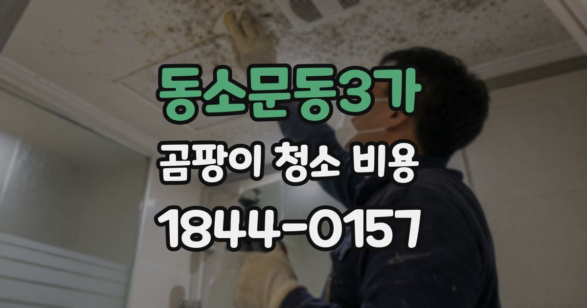 동소문동3가 곰팡이 청소 비용