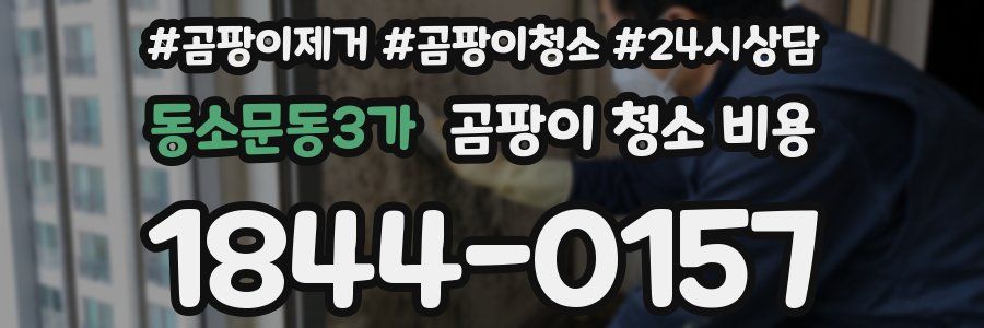 동소문동3가 곰팡이 청소 비용