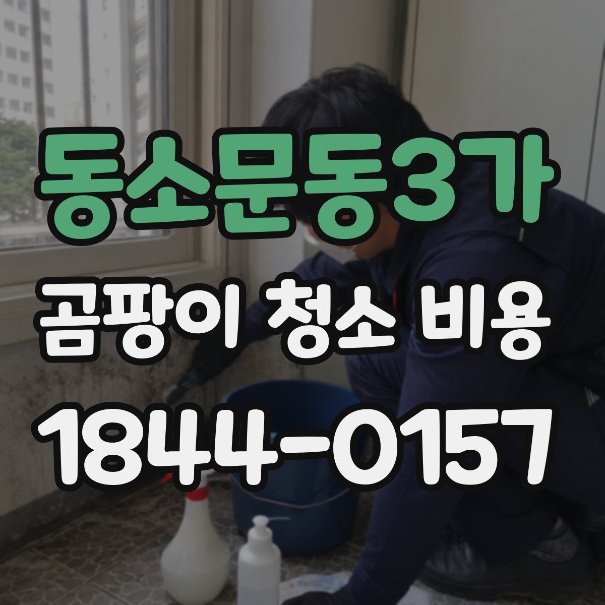 동소문동3가 곰팡이 청소 비용