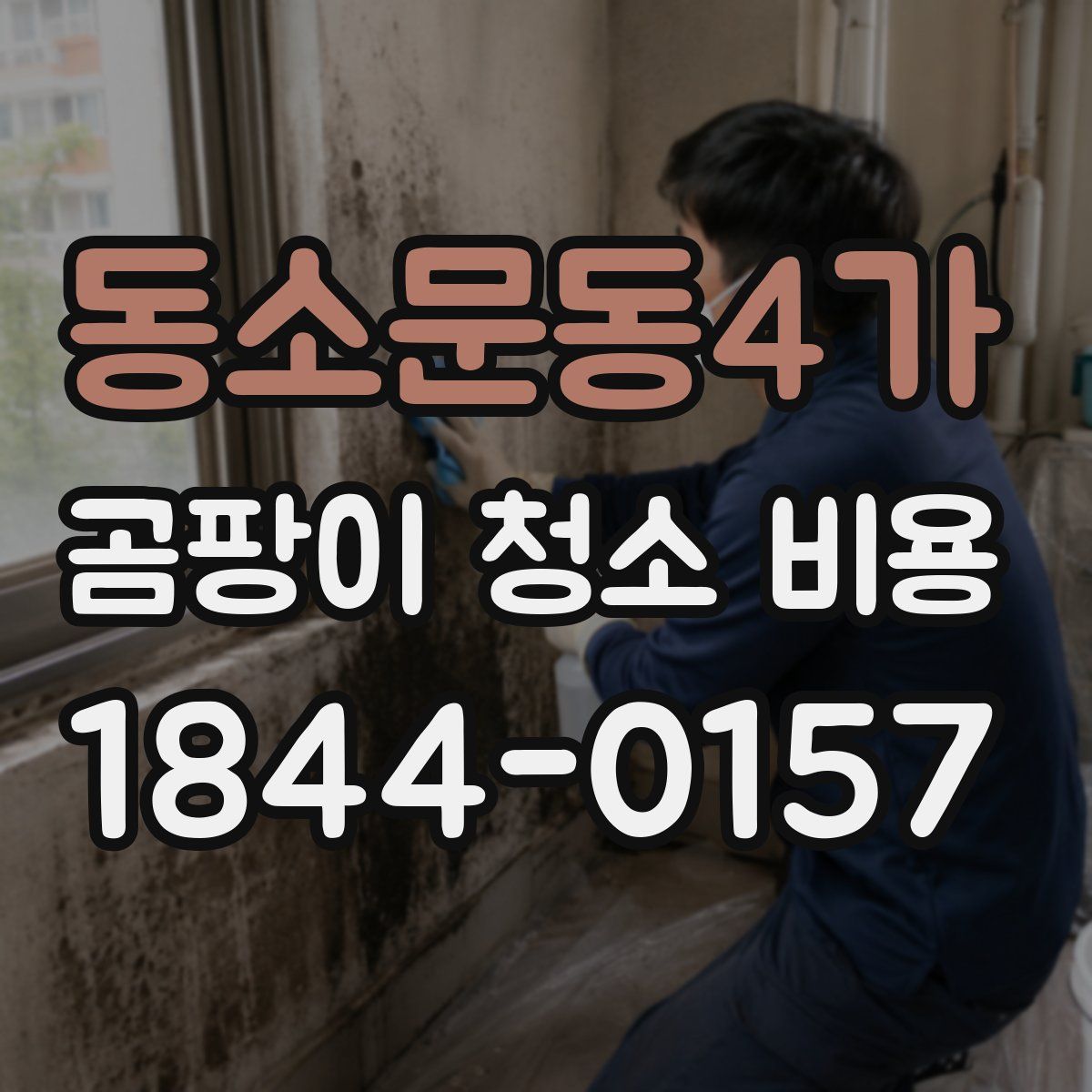 동소문동4가 곰팡이 청소 비용