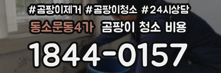 동소문동4가 곰팡이 청소 비용