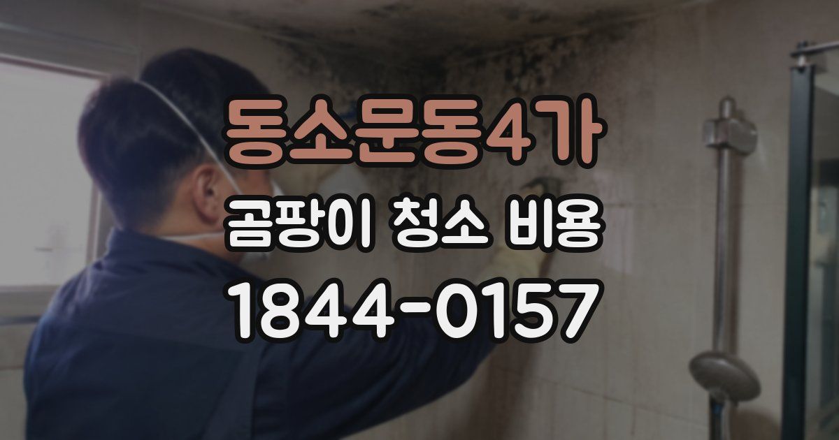 동소문동4가 곰팡이 청소 비용