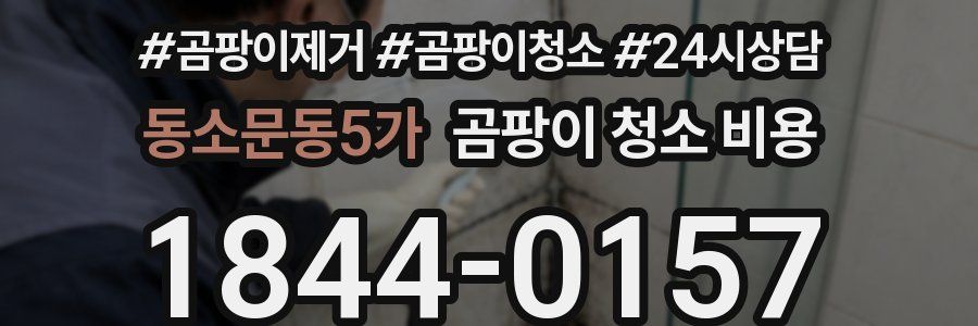 동소문동5가 곰팡이 청소 비용