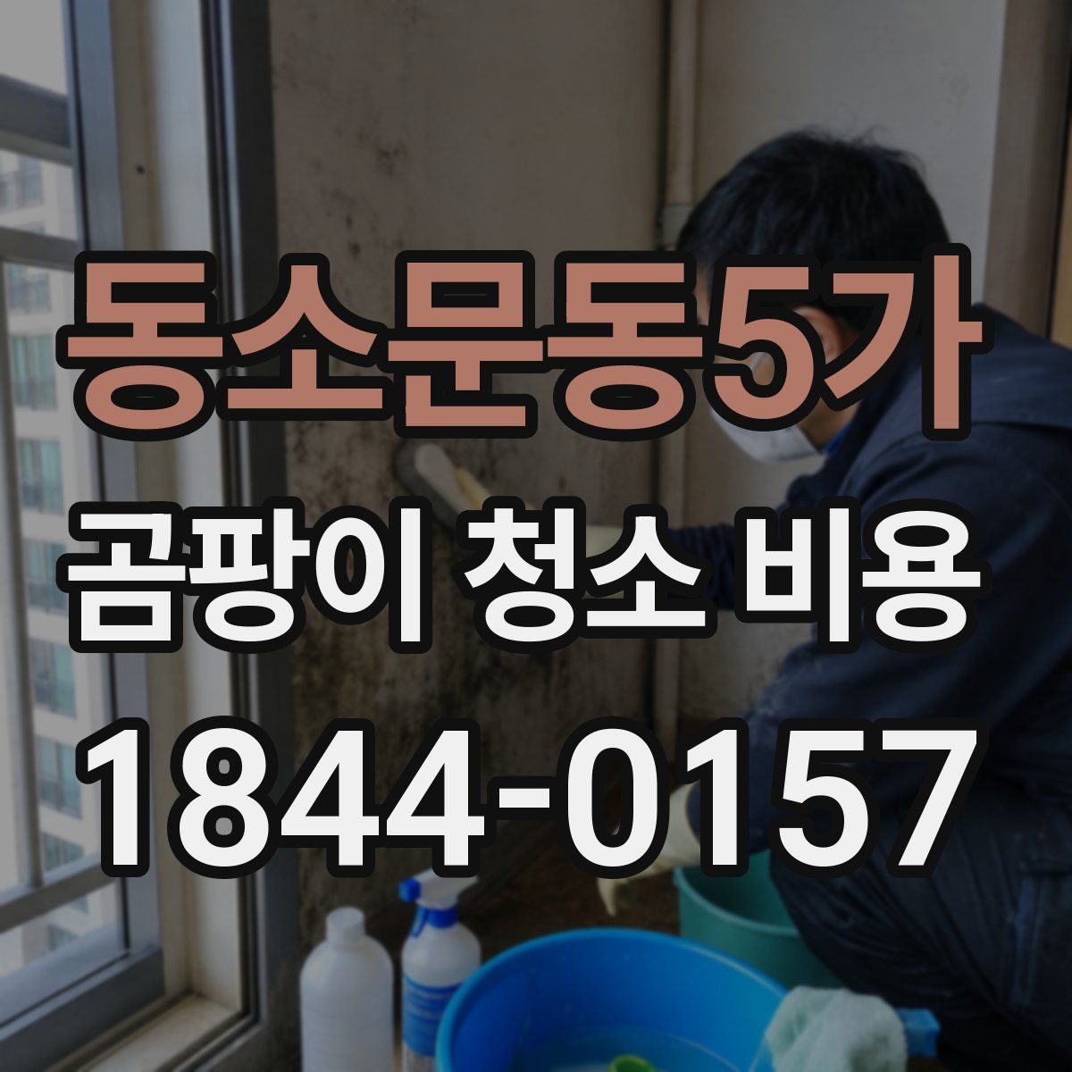 동소문동5가 곰팡이 청소 비용