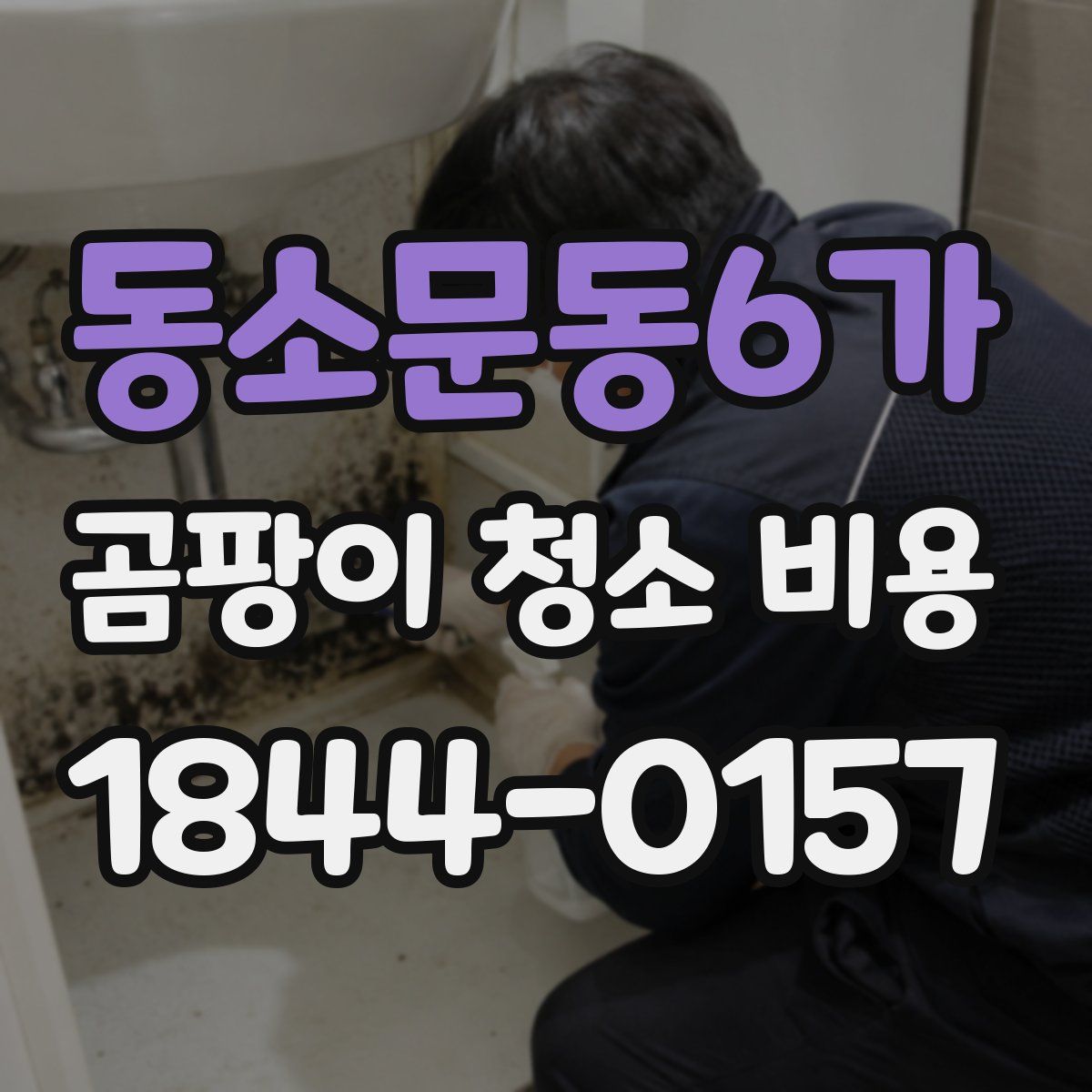 동소문동6가 곰팡이 청소 비용