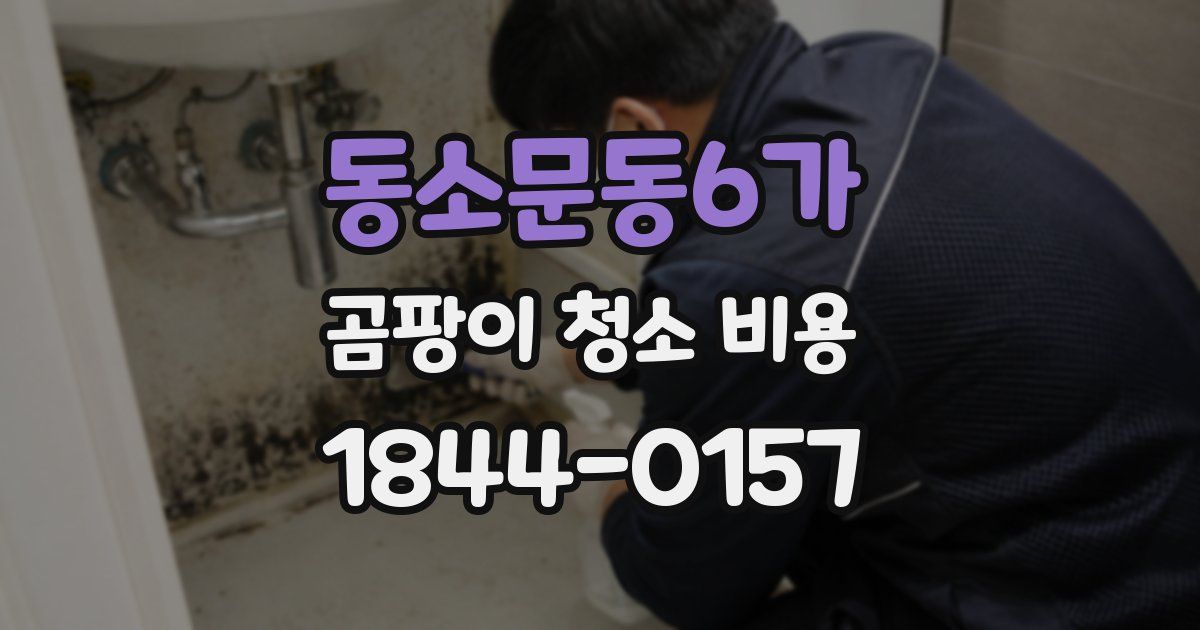동소문동6가 곰팡이 청소 비용