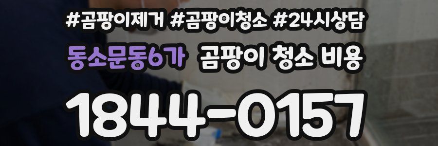동소문동6가 곰팡이 청소 비용
