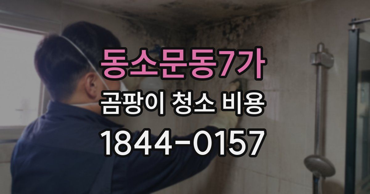동소문동7가 곰팡이 청소 비용