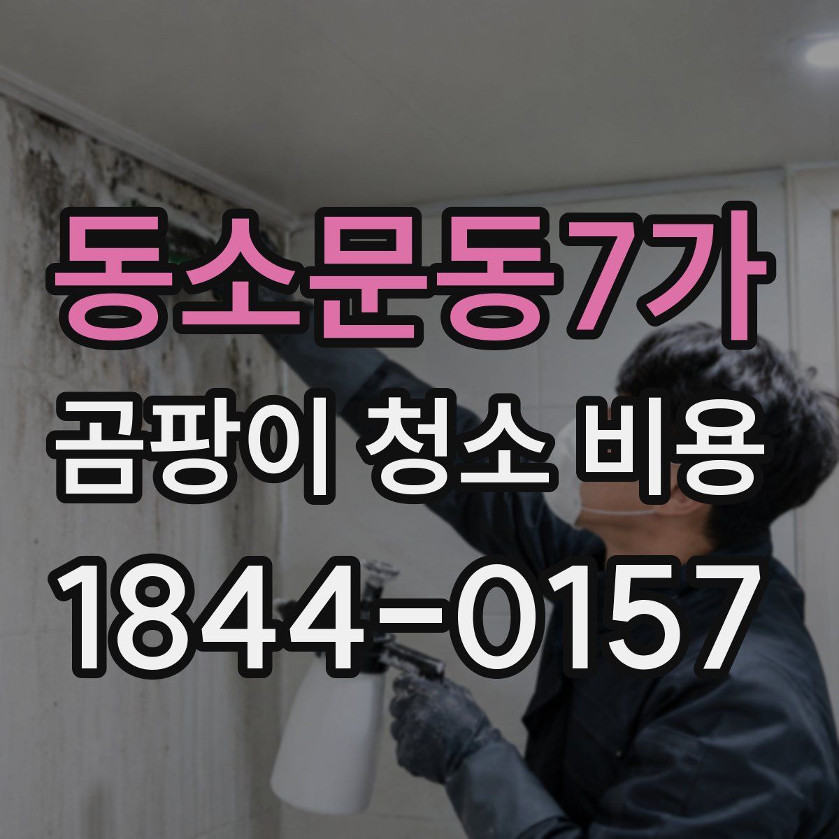 동소문동7가 곰팡이 청소 비용