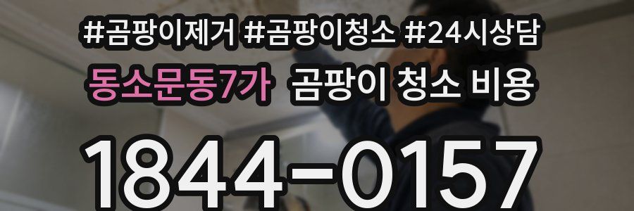 동소문동7가 곰팡이 청소 비용