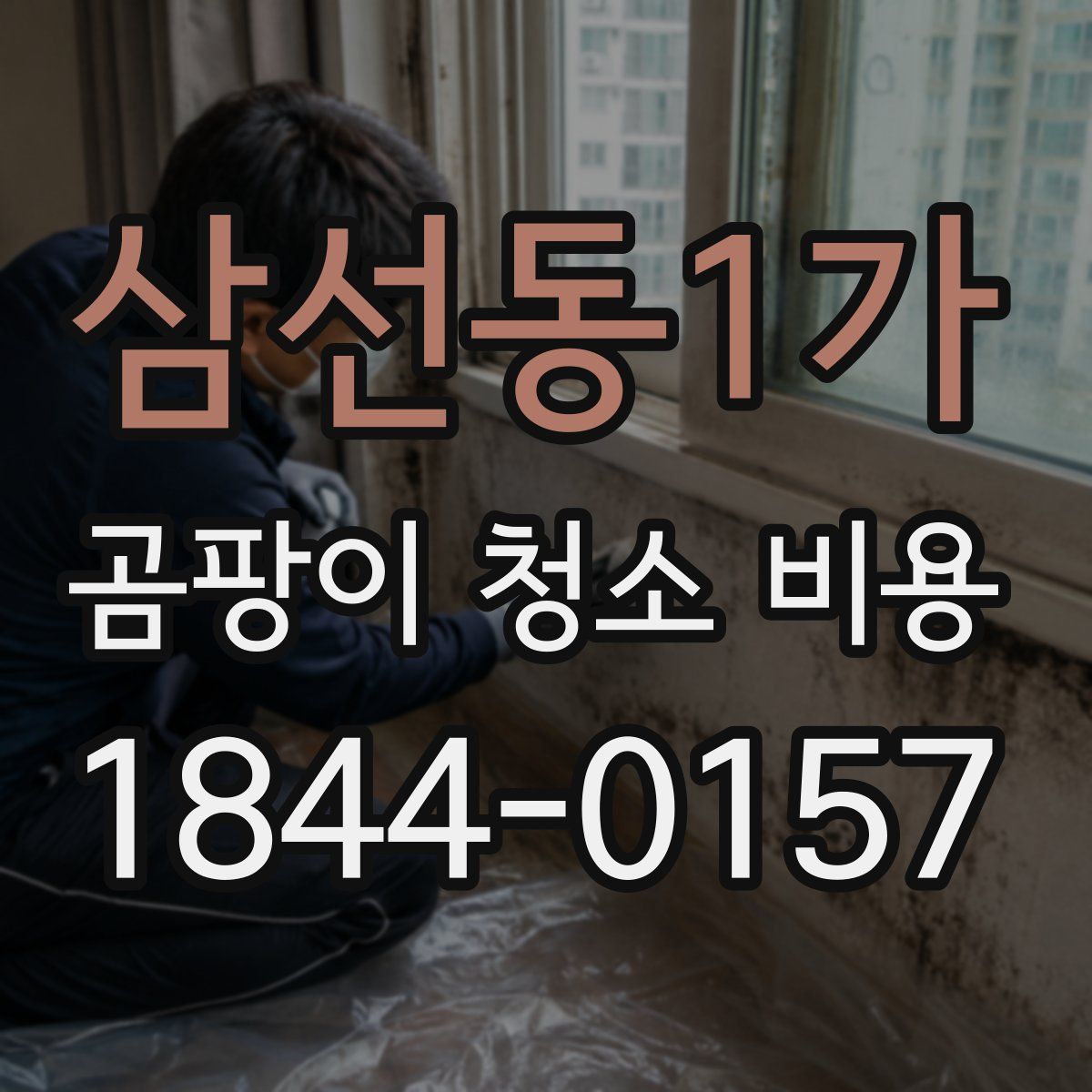 삼선동1가 곰팡이 청소 비용