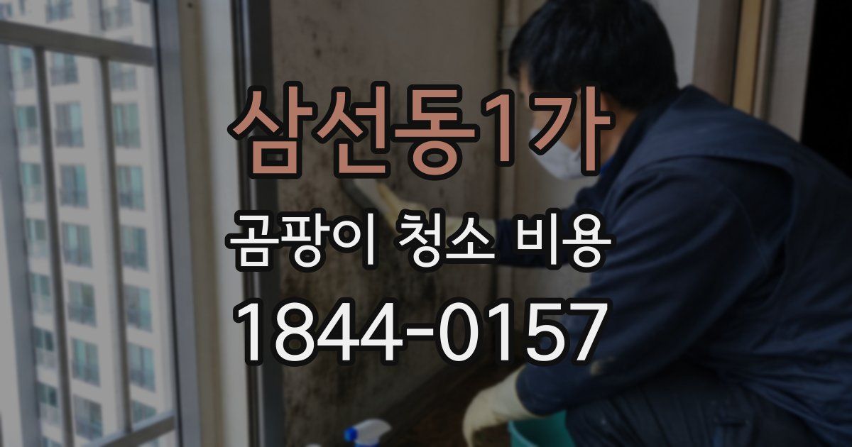 삼선동1가 곰팡이 청소 비용