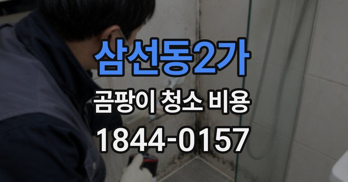 삼선동2가 곰팡이 청소 비용