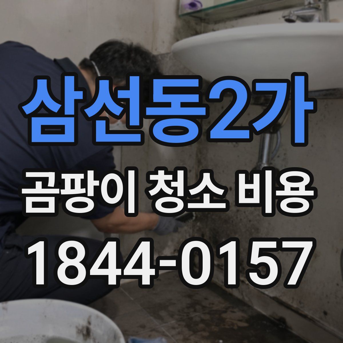 삼선동2가 곰팡이 청소 비용