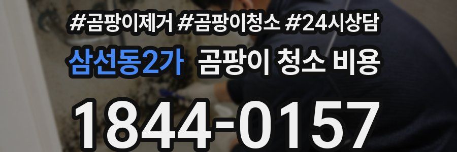 삼선동2가 곰팡이 청소 비용