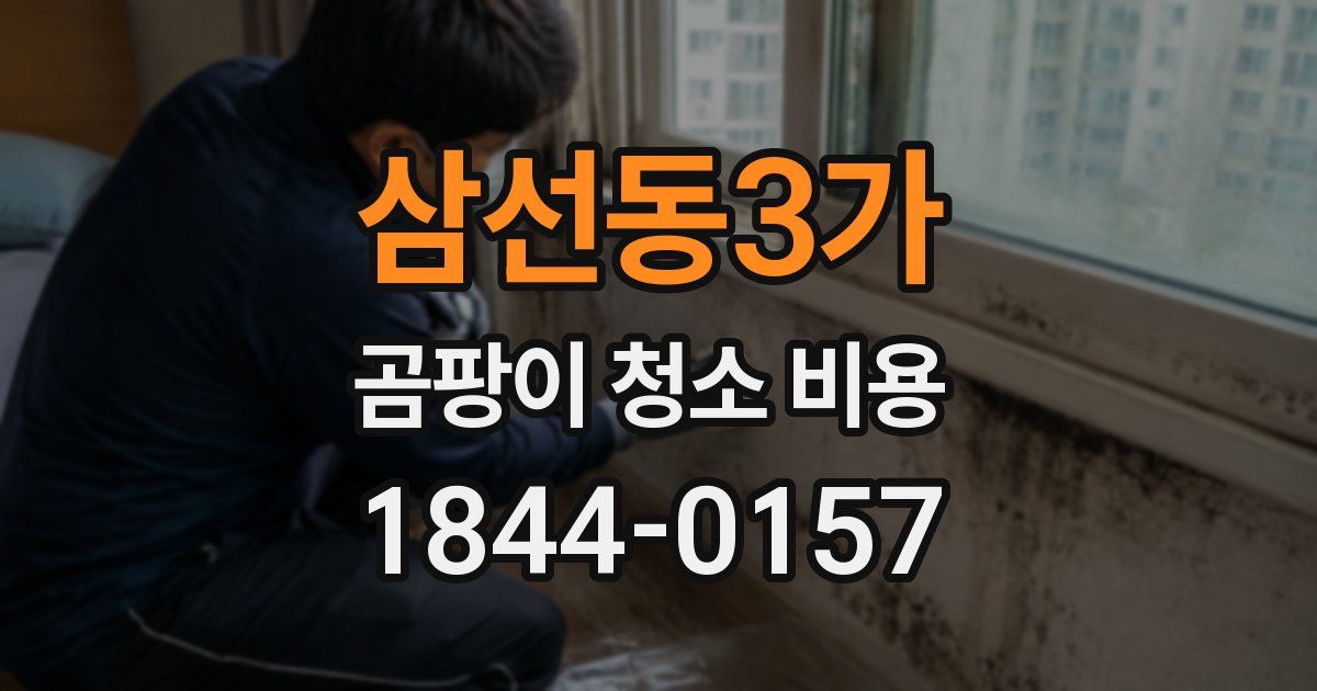 삼선동3가 곰팡이 청소 비용