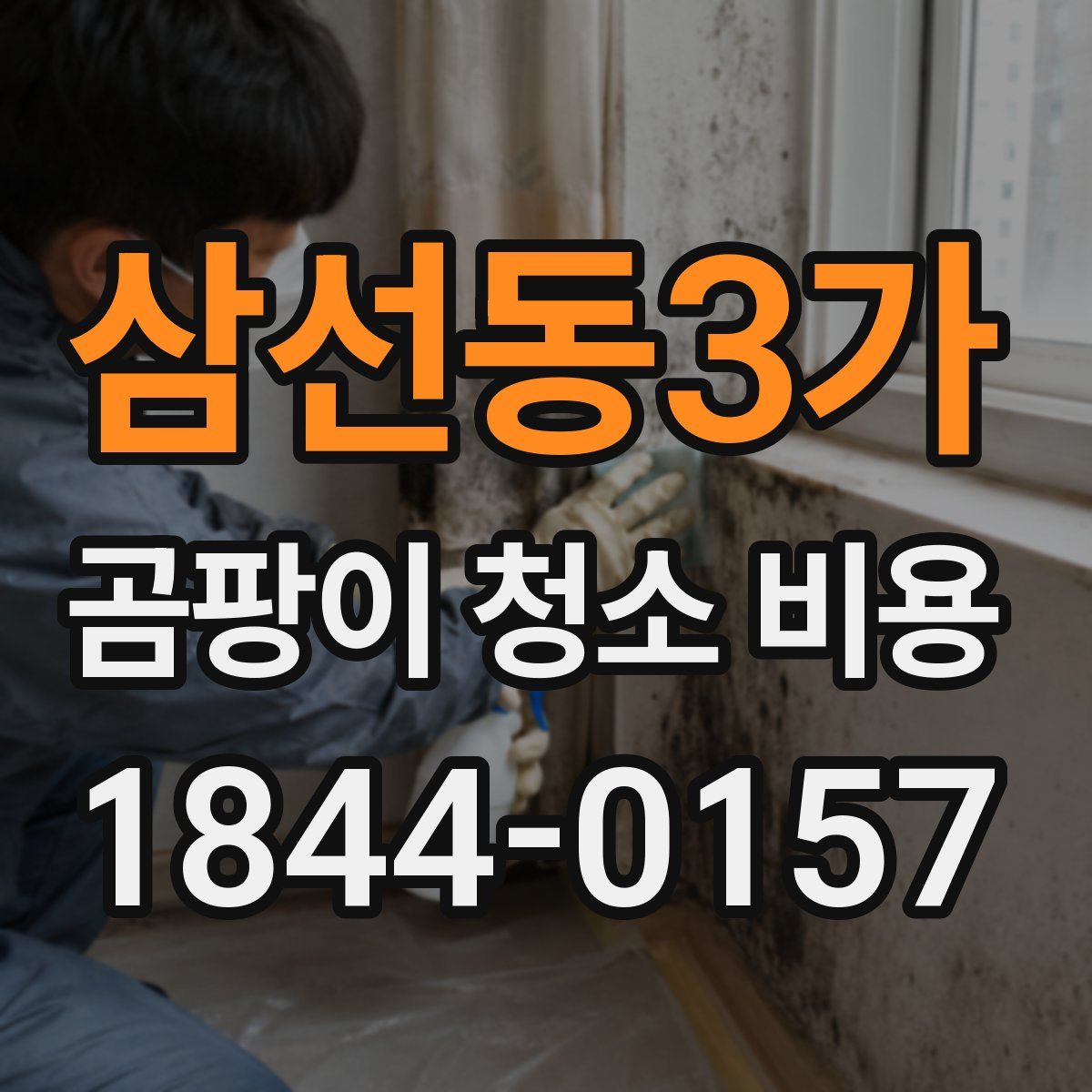 삼선동3가 곰팡이 청소 비용
