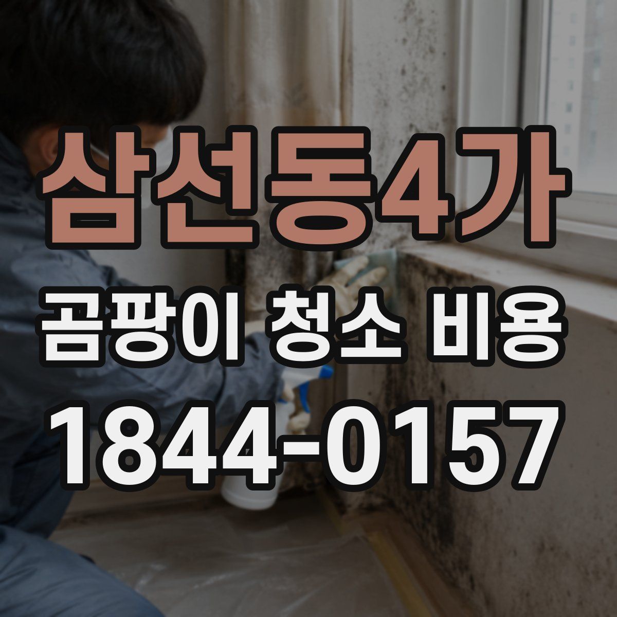 삼선동4가 곰팡이 청소 비용