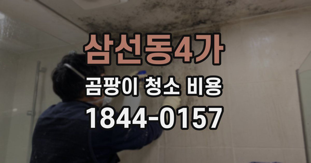 삼선동4가 곰팡이 청소 비용