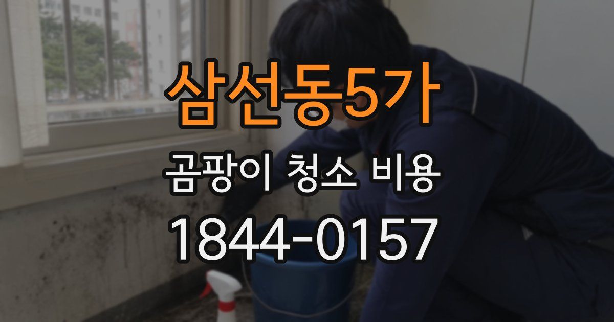 삼선동5가 곰팡이 청소 비용