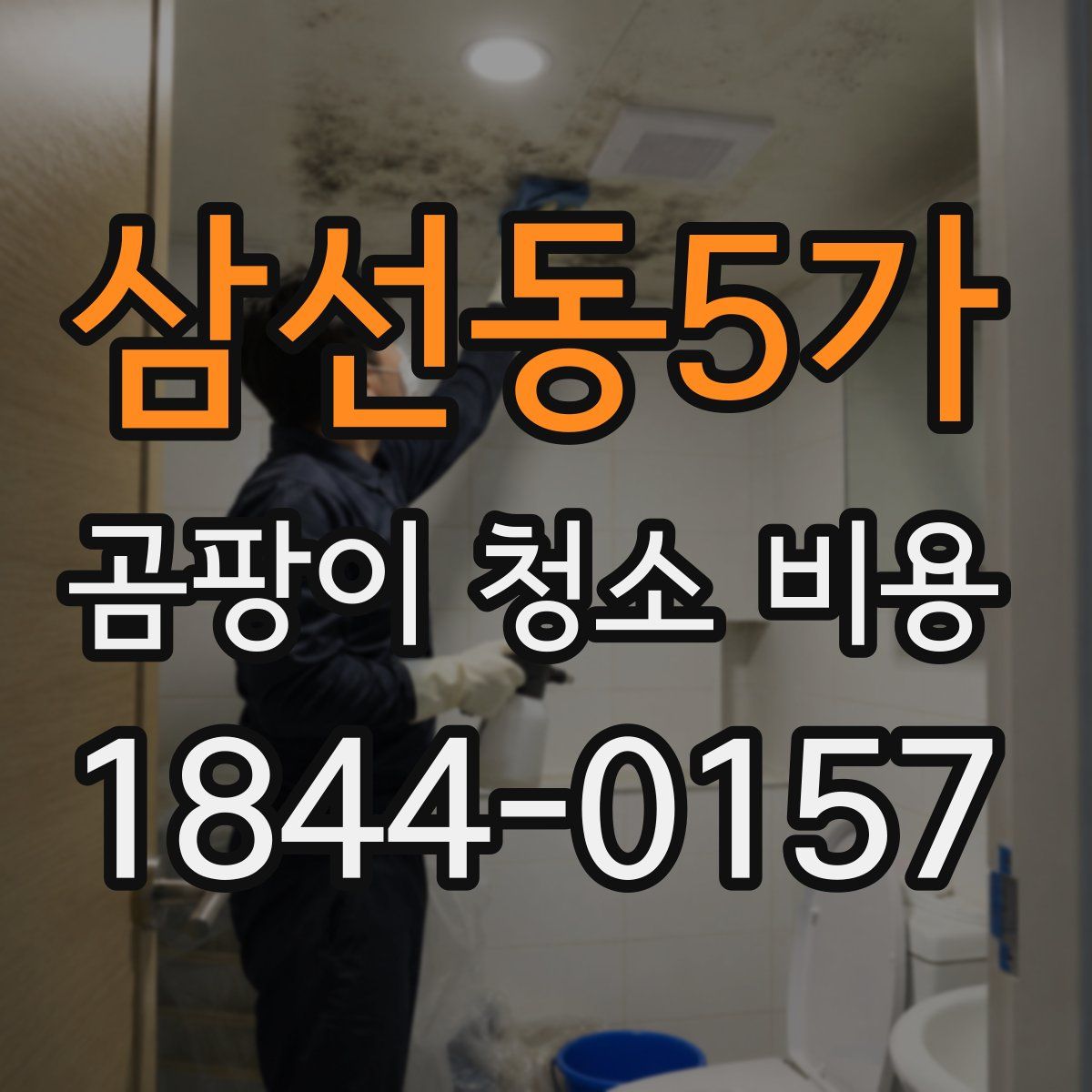 삼선동5가 곰팡이 청소 비용
