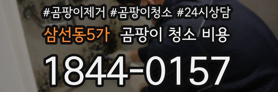 삼선동5가 곰팡이 청소 비용