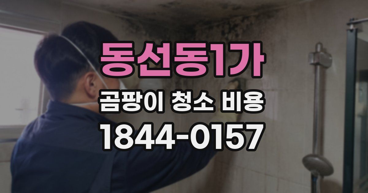 동선동1가 곰팡이 청소 비용