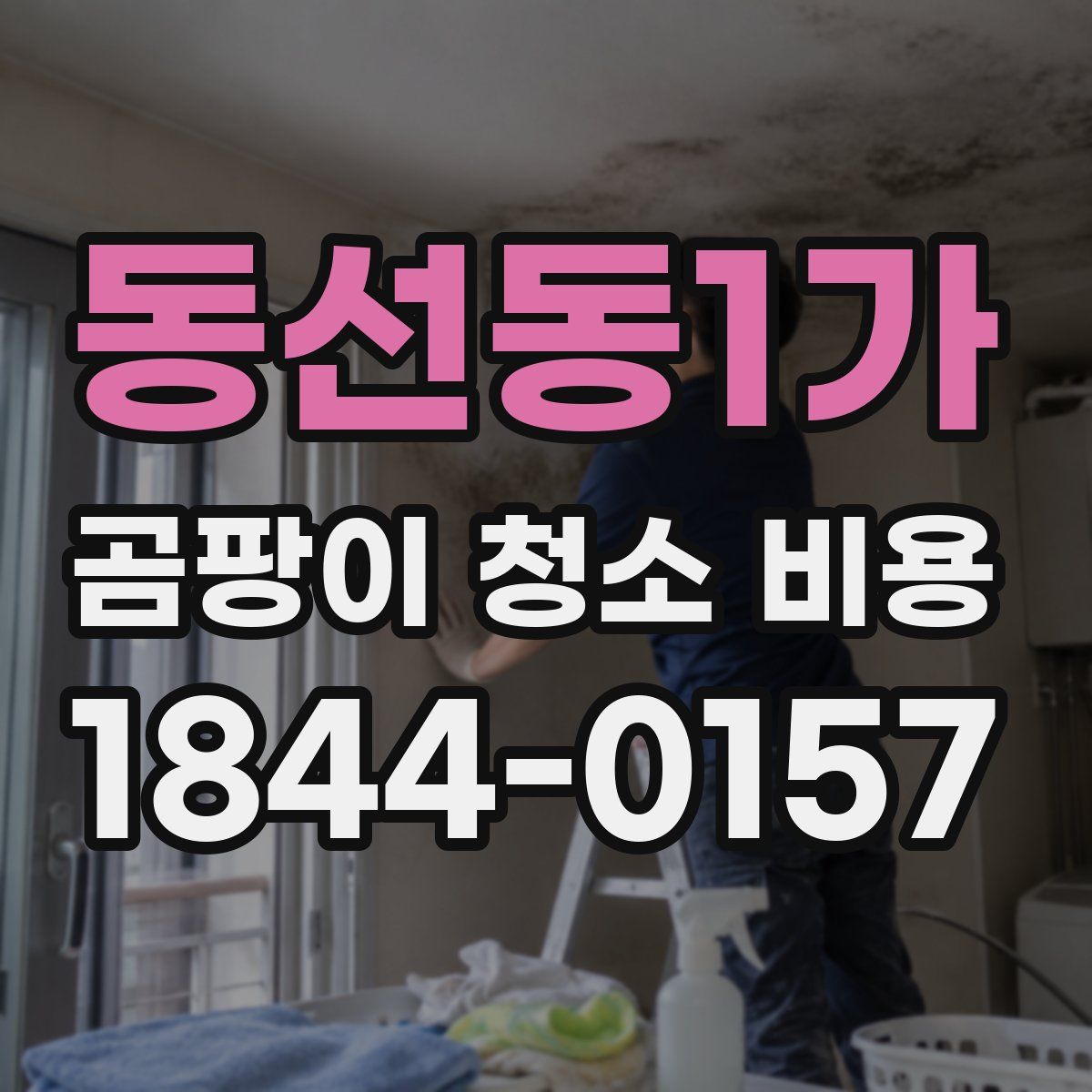 동선동1가 곰팡이 청소 비용