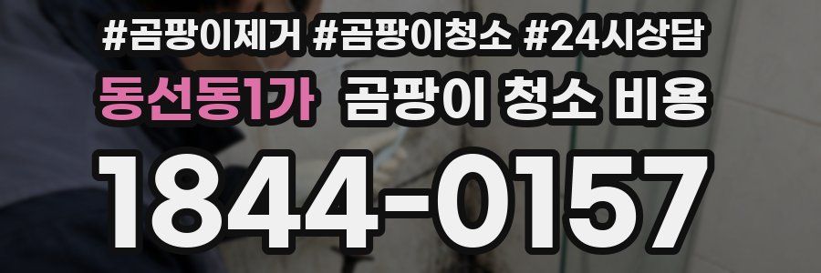 동선동1가 곰팡이 청소 비용