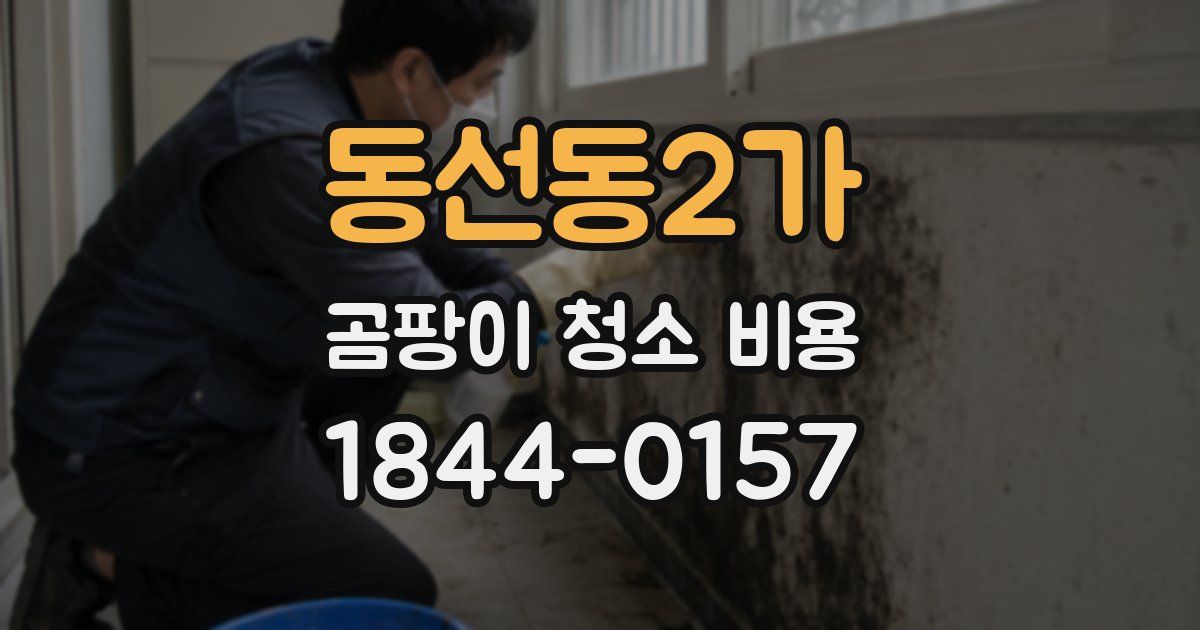 동선동2가 곰팡이 청소 비용