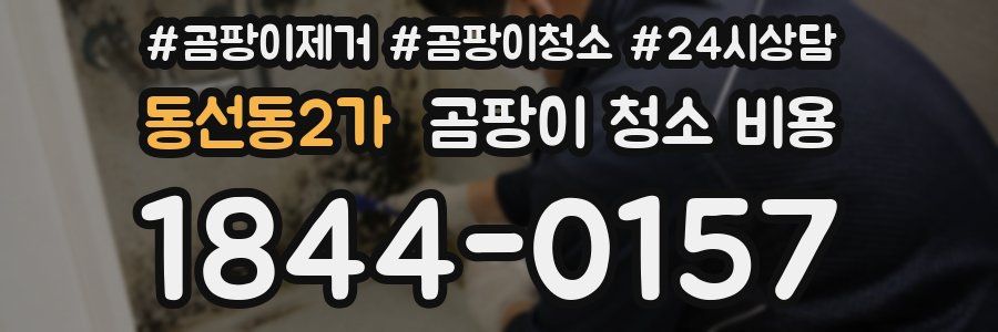 동선동2가 곰팡이 청소 비용