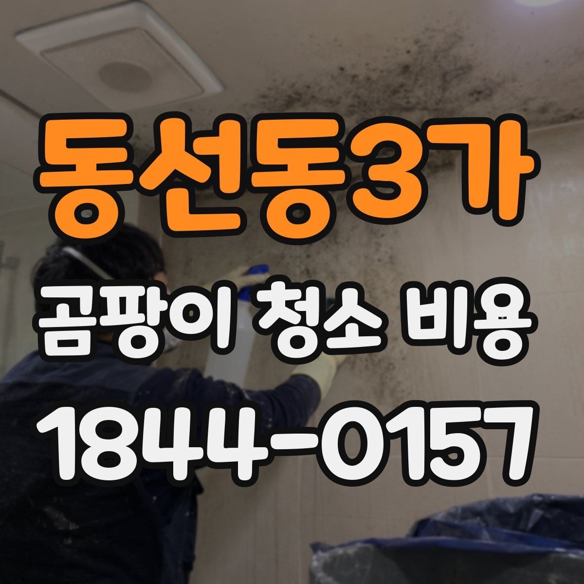동선동3가 곰팡이 청소 비용 세월이 지난 곰팡이와 최근 번짐의 차이