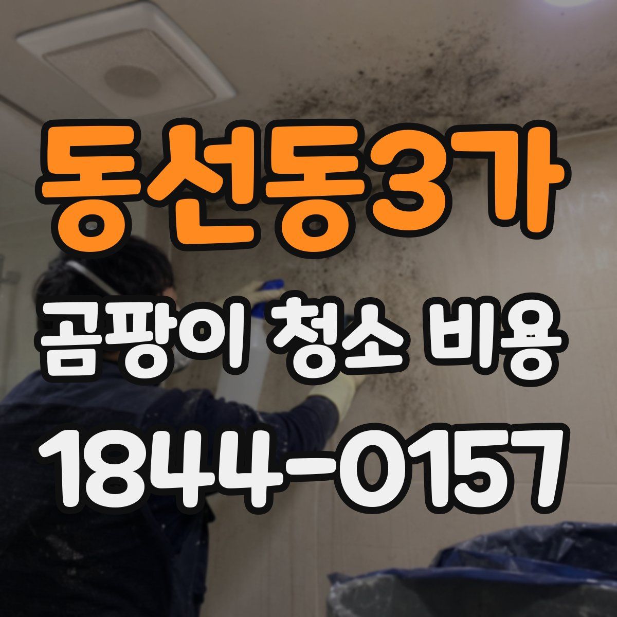 동선동3가 곰팡이 청소 비용