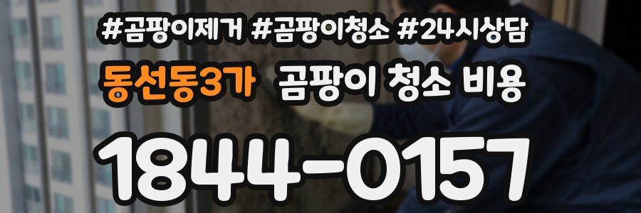 동선동3가 곰팡이 청소 비용